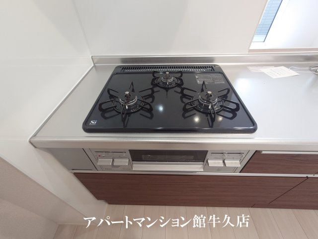 トリシア花水木 Mのキッチン