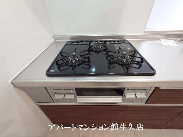 トリシア花水木 Mのキッチン