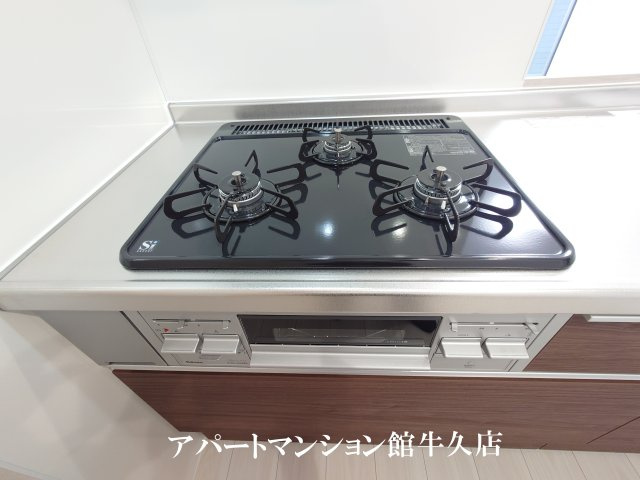 トリシア花水木 Yのキッチン