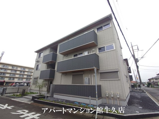 トリシア花水木 Y