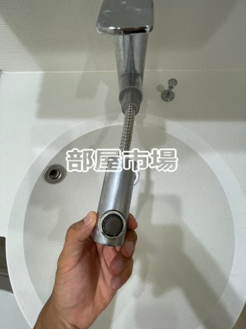 SYNEX PREMIER ASAKUSABASHIの洗面所|シャワー付洗面台