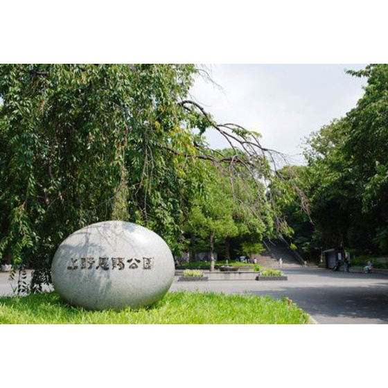 Ｓｕｎｒｉｓｅ　浅草の周辺|公園「東京都上野恩賜公園まで2317ｍ」