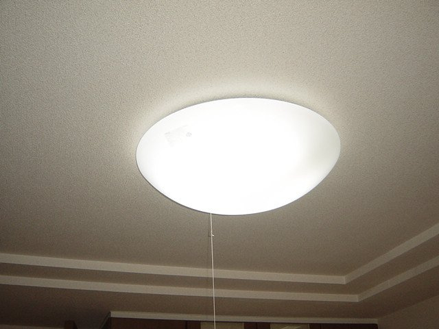 リリーズパレスのその他|照明器具