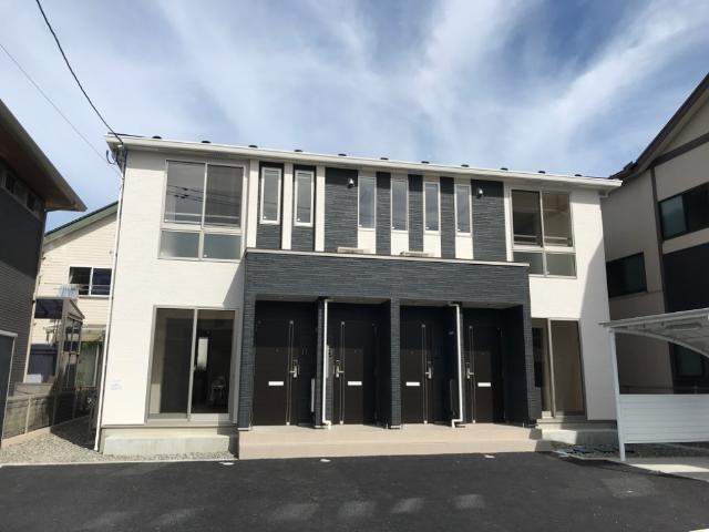 ラナンキュラス