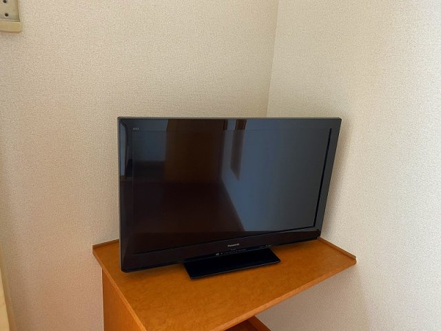 レオパレスアベニールのその他