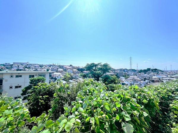三ツ池ハイツD棟のその他