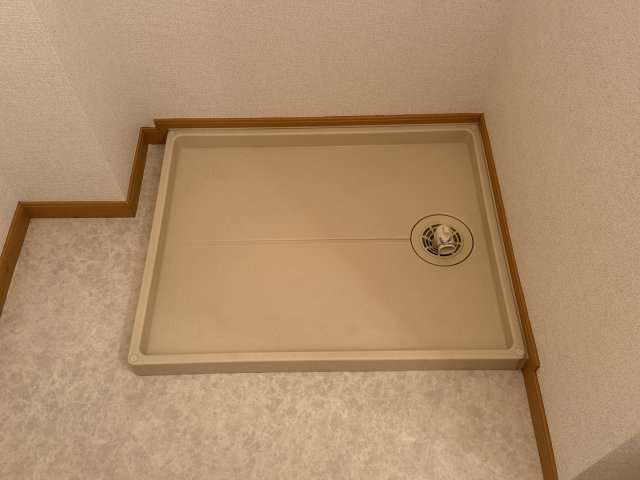 フリーデンＣのその他