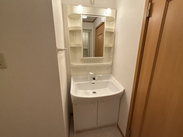 フリーデンＣの洗面所