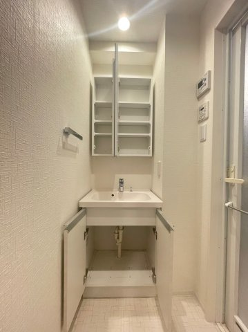 DIPS大山東町2の独立洗面台|独立洗面台です