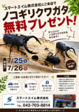 クワガタ　プレゼントの画像
