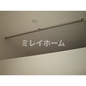 エクセルシアのその他