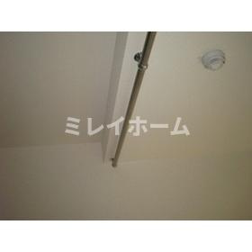 エクセルシアのその他