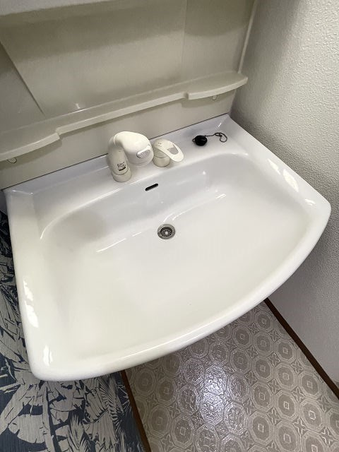 フレイグラント坂山の洗面所