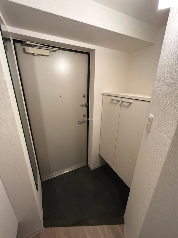 セレニテ堺筋本町リアンの玄関