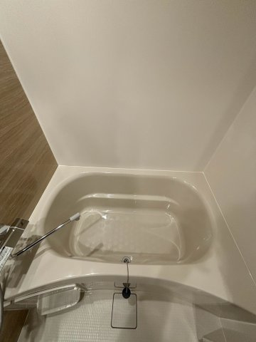 コンフォリア・リヴ本町ＷＥＳＴ Ｑの浴室