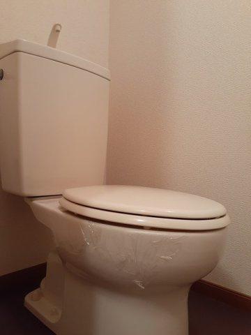 メゾン桃郷のトイレ