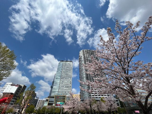 KoHa錦糸町のその他