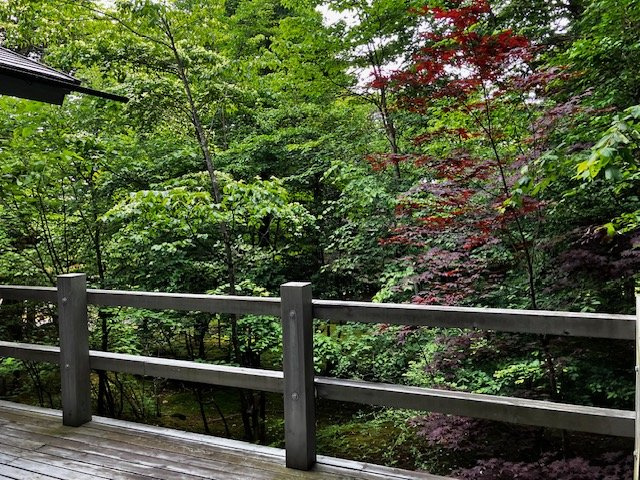 千ヶ滝別荘地西区 四季折々自然のグラデーションを愉しむ戸建の庭