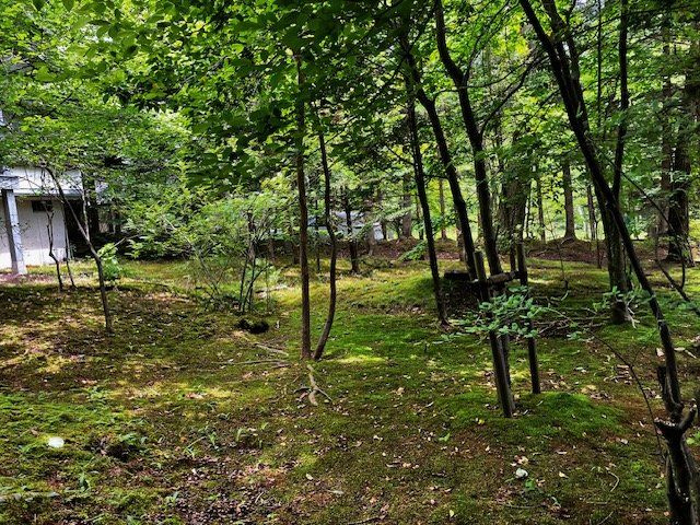 千ヶ滝別荘地西区 四季折々自然のグラデーションを愉しむ戸建の周辺
