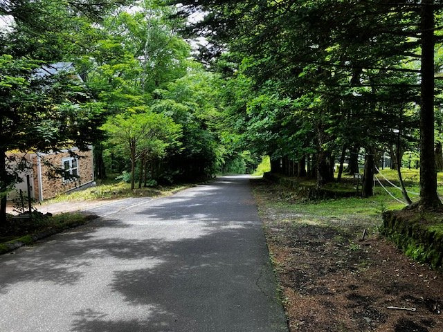 千ヶ滝別荘地西区 四季折々自然のグラデーションを愉しむ戸建の周辺