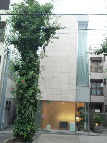 Ginkgo Ave.