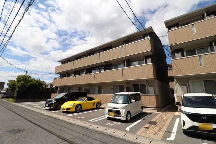 パームツリーＢ