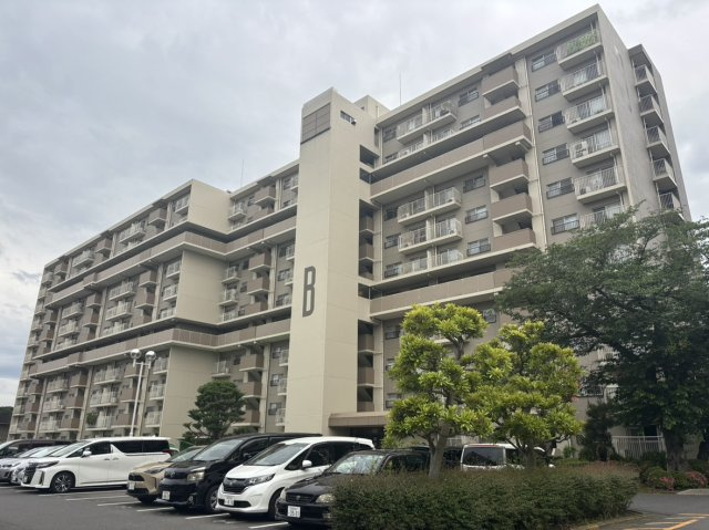 【外観】市川グリーンハイツＢ棟 