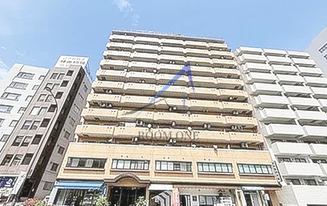 ライオンズプラザお茶の水の外観|外観です。