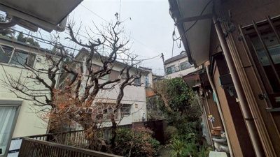 【展望】 | 山手ドリーム