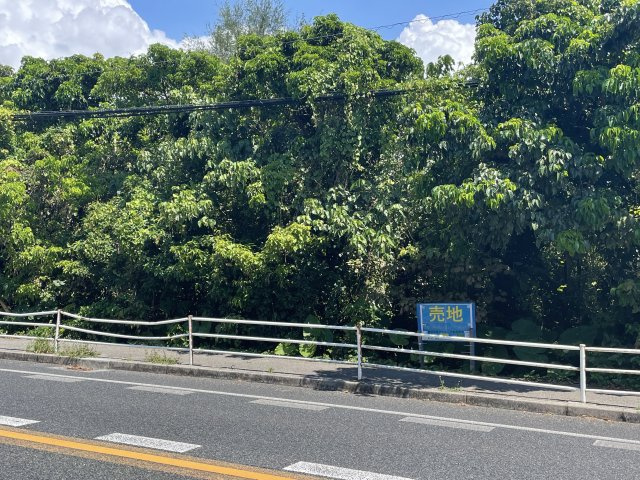 売地●読谷村波平116坪の周辺