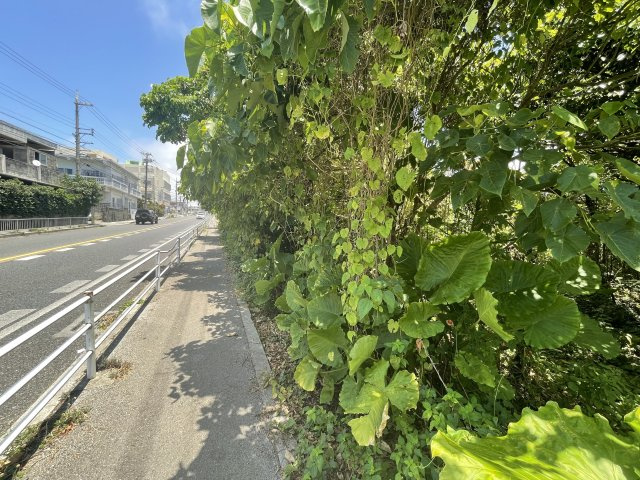 売地●読谷村波平116坪の外観