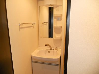 アスヴェル京都二条駅前Ⅱの洗面所