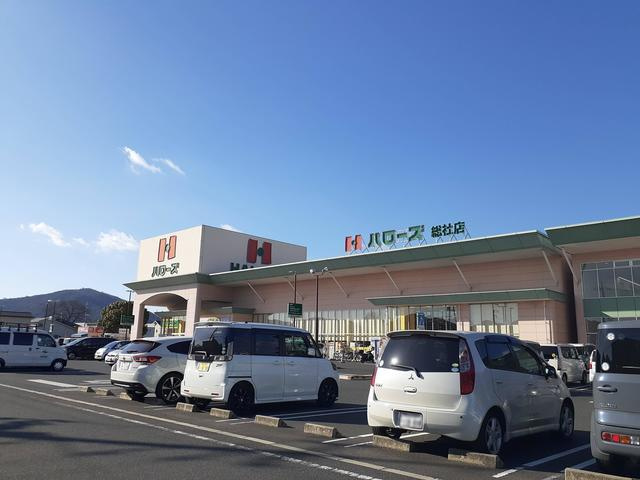 アンジュ．Ｋの展望