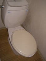 ゆったりとした空間のトイレです