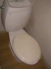 ゆったりとした空間のトイレです