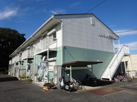 外観も気になるポイント