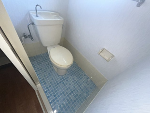 シンプルで使いやすいトイレです