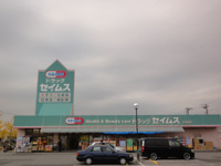 ドラッグセイムス木更津店まで1,189ｍ