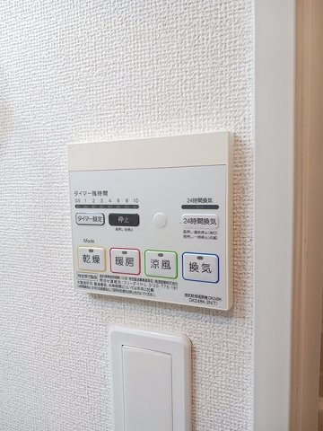 シュウ・レミングＡのその他