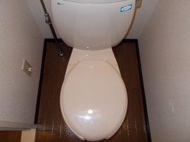 ゆったりとした空間のトイレです