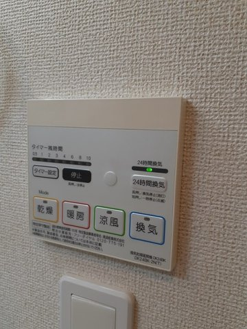 シュウ・レミングＡのその他