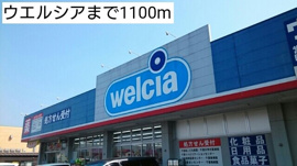 ウエルシアまで1100m