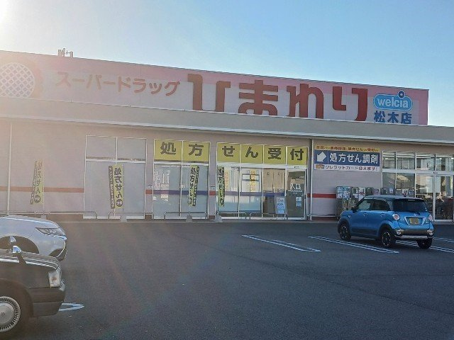 フェアリー　プロムナードの周辺|スーパードラッグひまわり松木店まで1100m