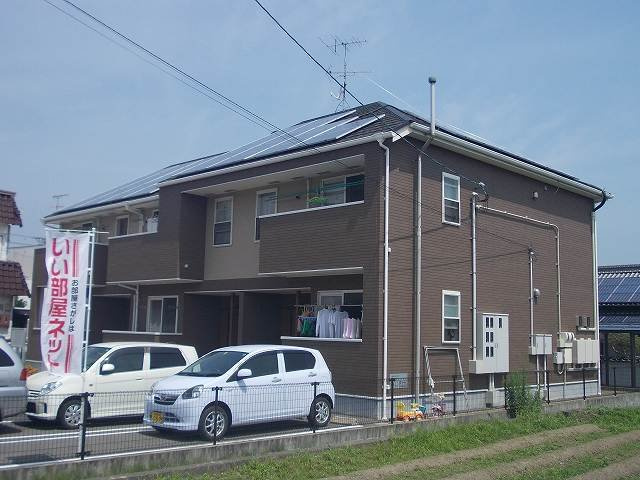 プリムローズ