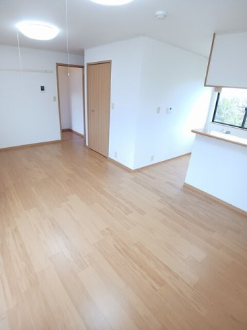 ヴィオラのその他