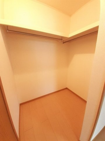 セントポーリアの収納
