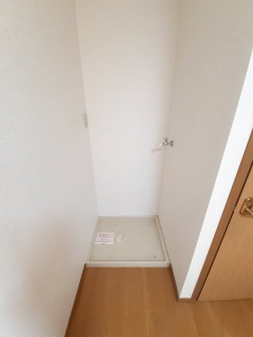 ドミール・ルシパーのその他