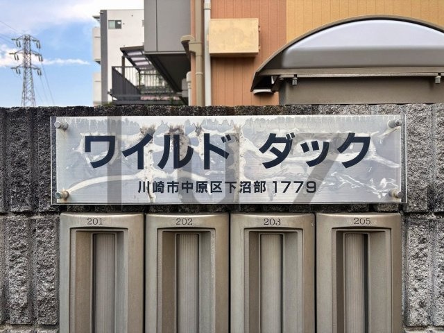 ワイルドダックのその他