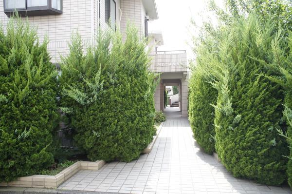 ドミール久我山のエントランス|建物の内部です