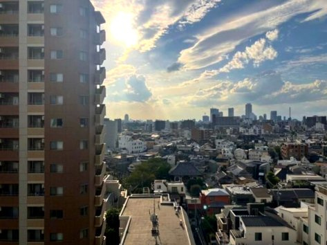 ライオンズプラザ白山の展望